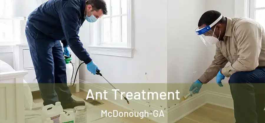 Ant Treatment McDonough-GA