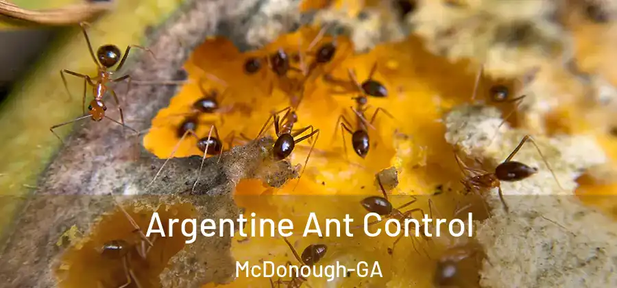 Argentine Ant Control McDonough-GA