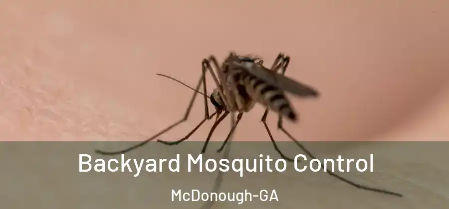Backyard Mosquito Control McDonough-GA