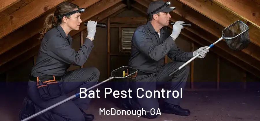 Bat Pest Control McDonough-GA