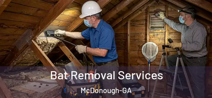 Bat Removal Services McDonough-GA