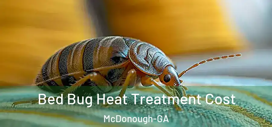 Bed Bug Heat Treatment Cost McDonough-GA