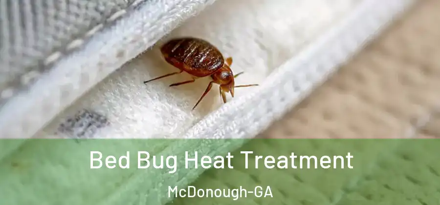  Bed Bug Heat Treatment McDonough-GA