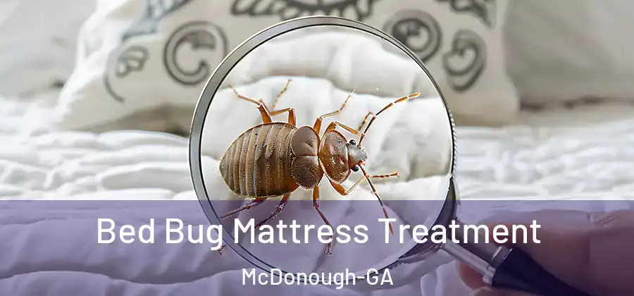 Bed Bug Mattress Treatment McDonough-GA