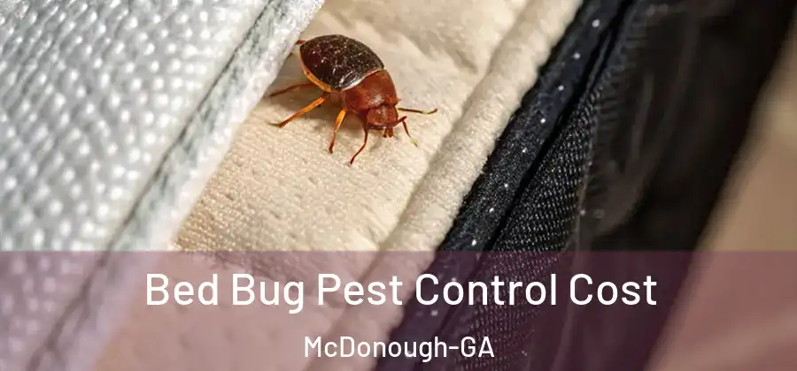  Bed Bug Pest Control Cost McDonough-GA
