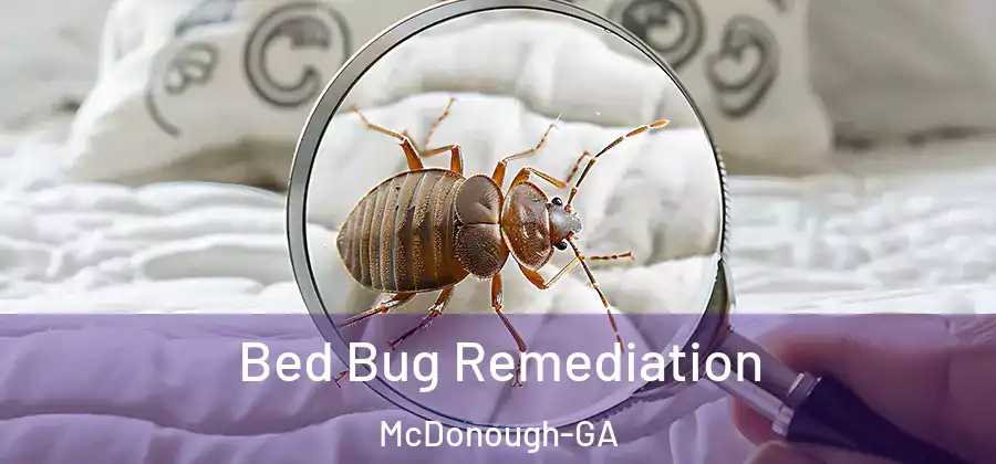 Bed Bug Remediation McDonough-GA