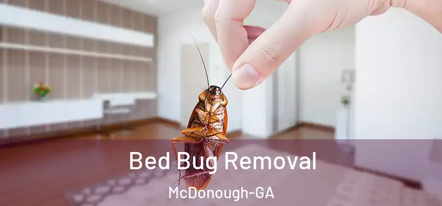 Bed Bug Removal McDonough-GA