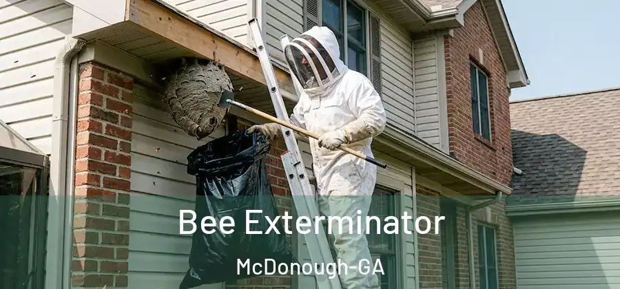 Bee Exterminator McDonough-GA