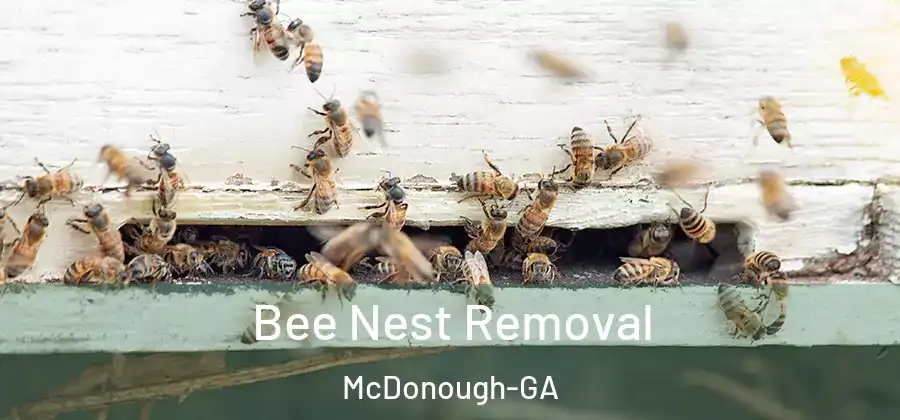  Bee Nest Removal McDonough-GA