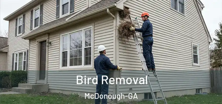 Bird Removal McDonough-GA