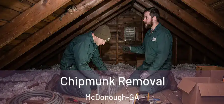 Chipmunk Removal McDonough-GA