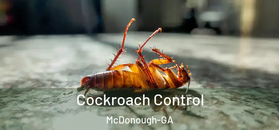  Cockroach Control McDonough-GA