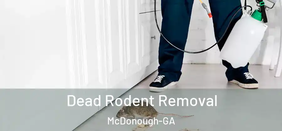  Dead Rodent Removal McDonough-GA