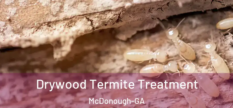 Drywood Termite Treatment McDonough-GA