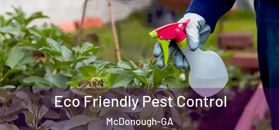  Eco Friendly Pest Control McDonough-GA