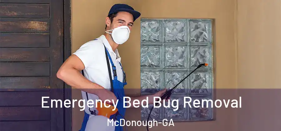  Emergency Bed Bug Removal McDonough-GA