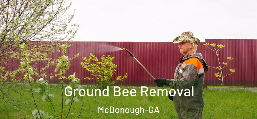 Ground Bee Removal McDonough-GA