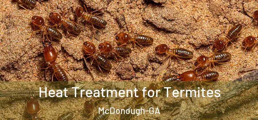 Heat Treatment for Termites McDonough-GA