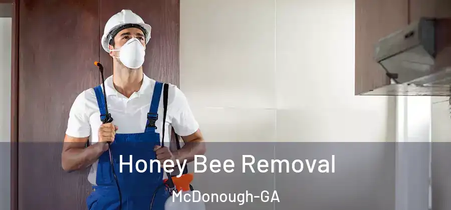  Honey Bee Removal McDonough-GA