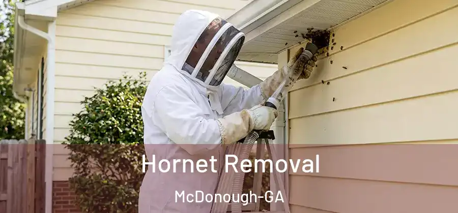  Hornet Removal McDonough-GA