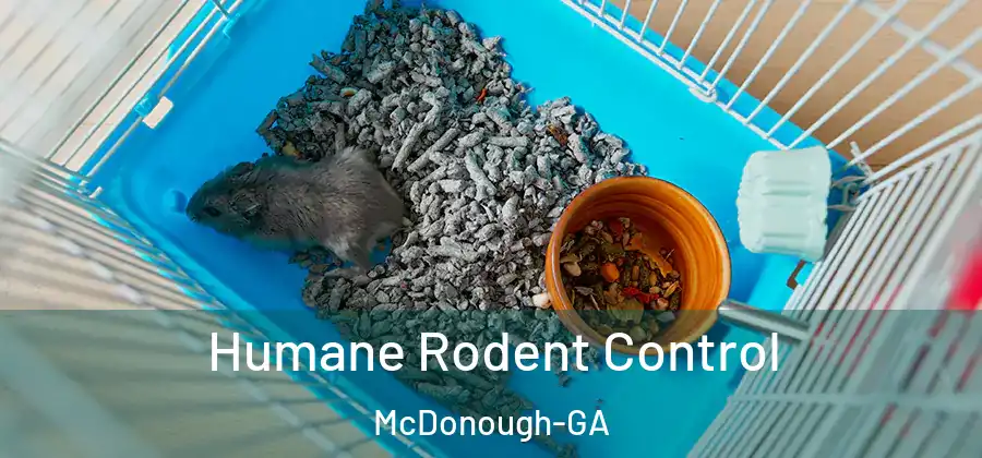 Humane Rodent Control McDonough-GA