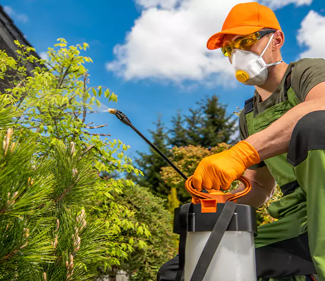 Your Mosquito Repellent Barrier Service in McDonough, GA