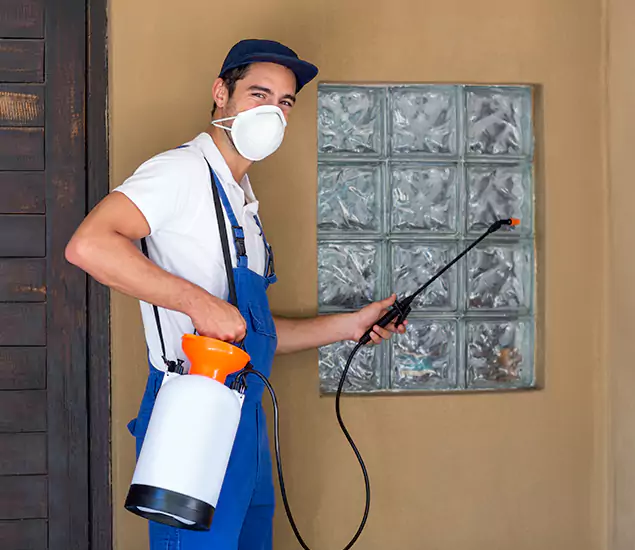 in McDonough, GA Advanced Outdoor Pest Control Solutions by McDonough GA Pest Control Pros