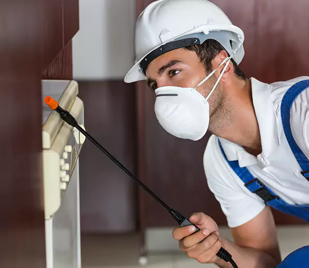 Expert Cockroach Exterminator: Your Roach Control Services in McDonough, GA