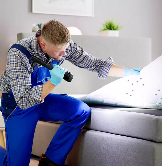 Why Choose McDonough GA Pest Control Pros For Bed Bug Heat Treatment in McDonough, GA?