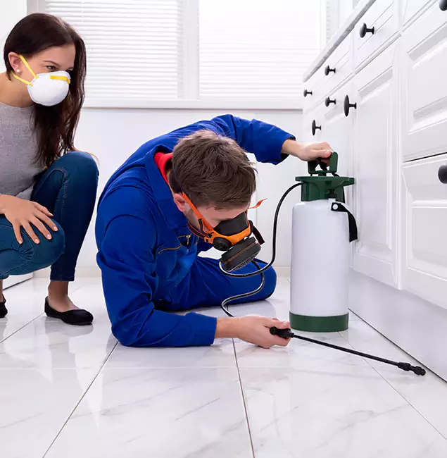 Why McDonough, GA Homeowners Trust McDonough GA Pest Control Pros for Roach Control?