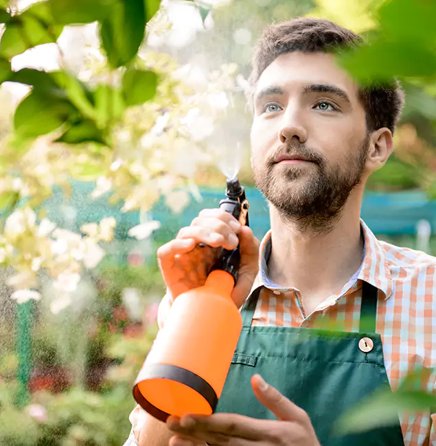 Why McDonough Homeowners Call McDonough GA Pest Control Pros for Mosquitoes in House?