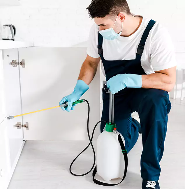 Why Choose McDonough GA Pest Control Pros for Termite Spot Treatment in McDonough, GA?