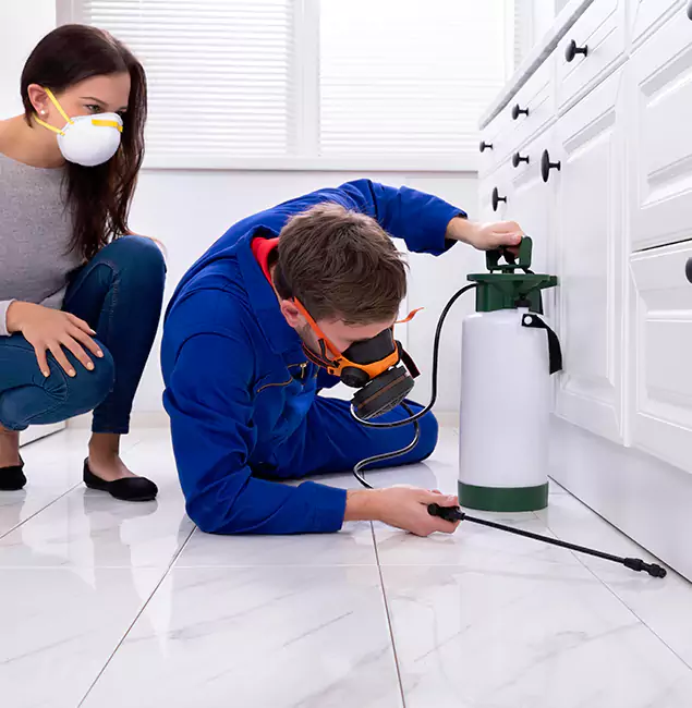 Why Choose Wood Termite Treatment by McDonough GA Pest Control Pros in McDonough, GA?