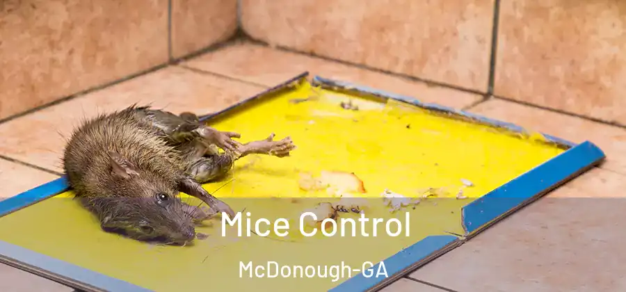  Mice Control McDonough-GA