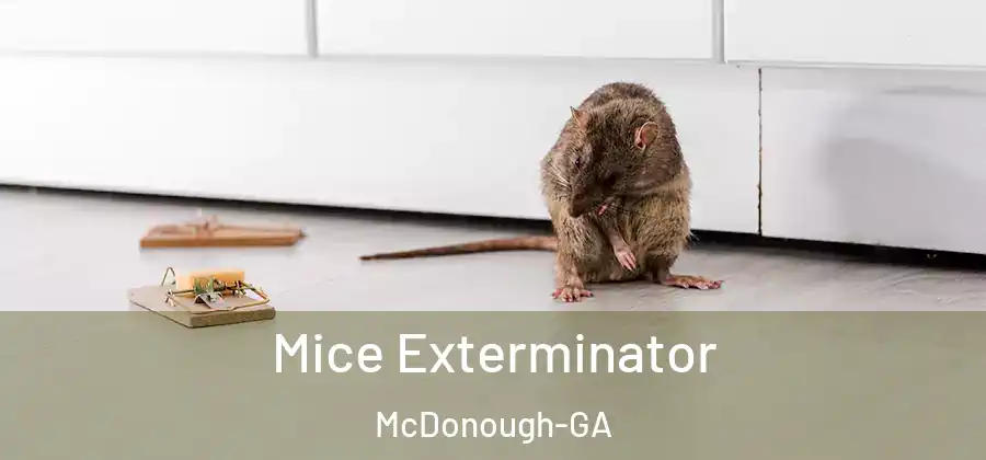 Mice Exterminator McDonough-GA