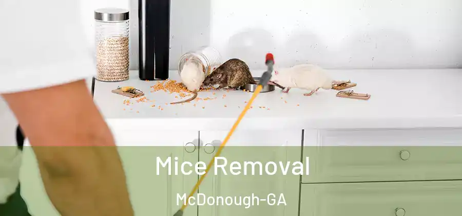 Mice Removal McDonough-GA