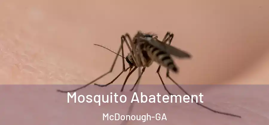 Mosquito Abatement McDonough-GA