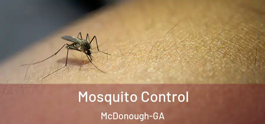  Mosquito Control McDonough-GA