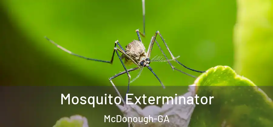 Mosquito Exterminator McDonough-GA