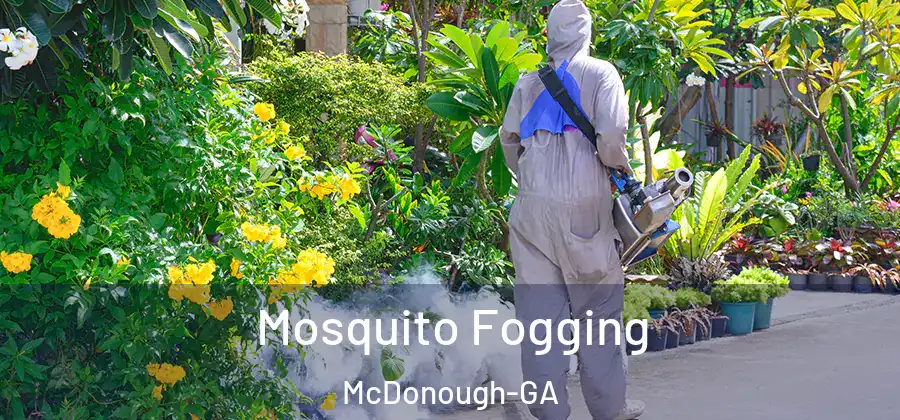  Mosquito Fogging McDonough-GA