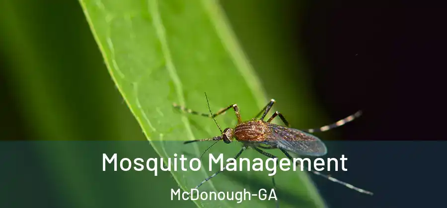 Mosquito Management McDonough-GA