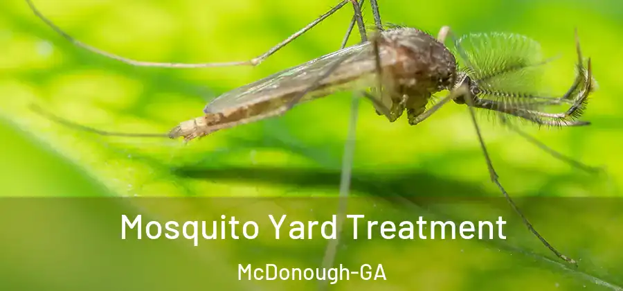  Mosquito Yard Treatment McDonough-GA