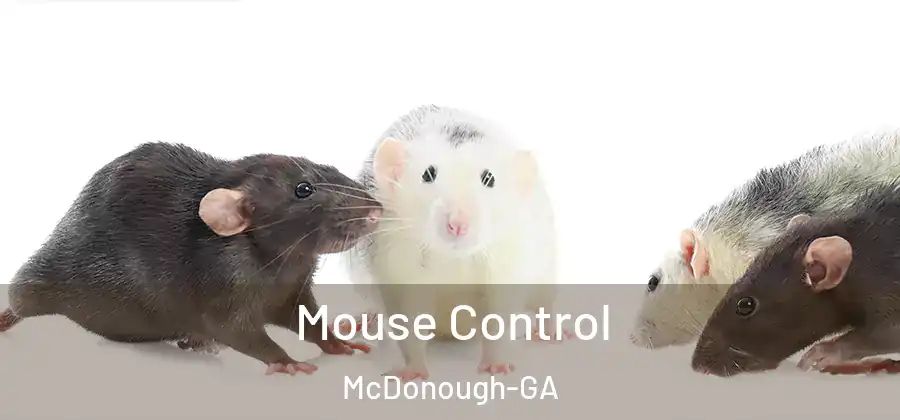  Mouse Control McDonough-GA