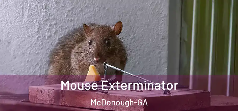 Mouse Exterminator McDonough-GA