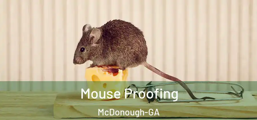  Mouse Proofing McDonough-GA