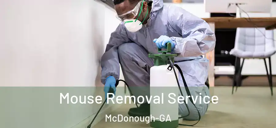  Mouse Removal Service McDonough-GA