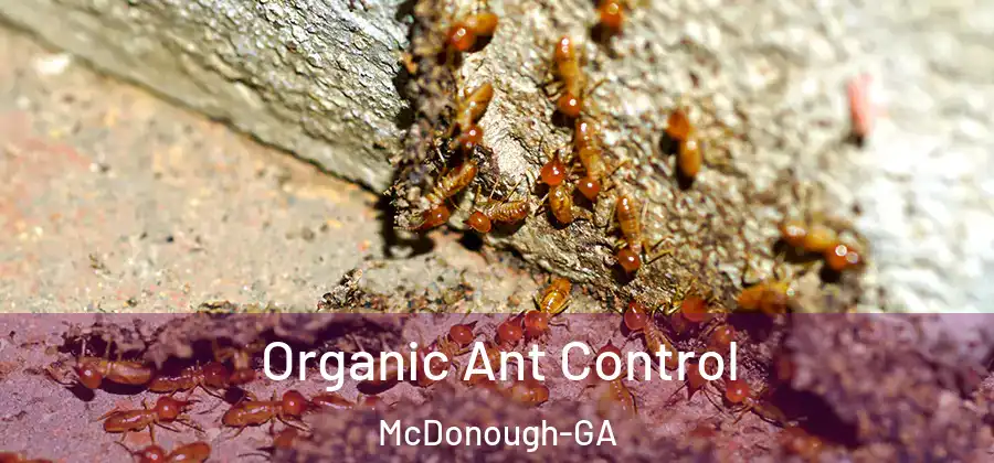  Organic Ant Control McDonough-GA