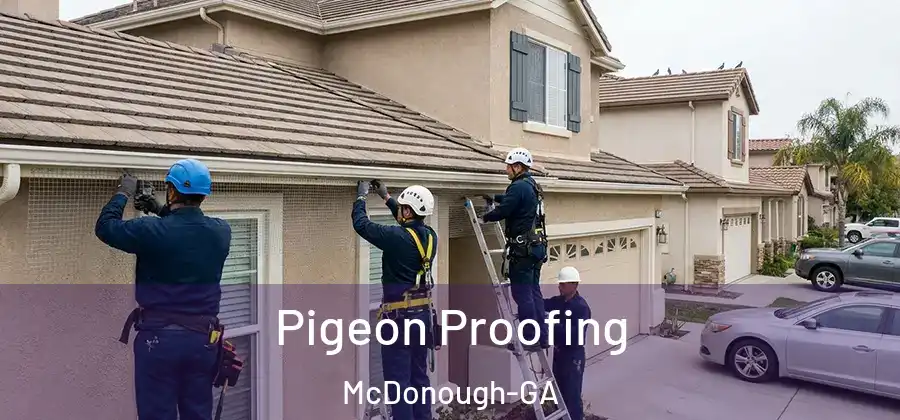 Pigeon Proofing McDonough-GA