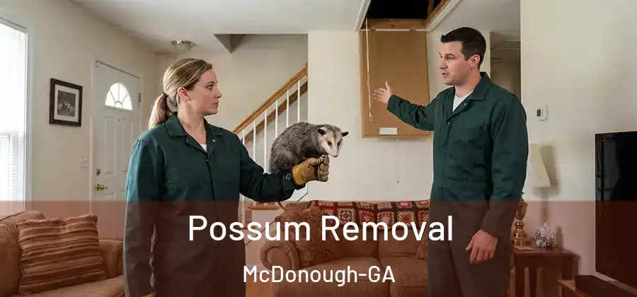  Possum Removal McDonough-GA