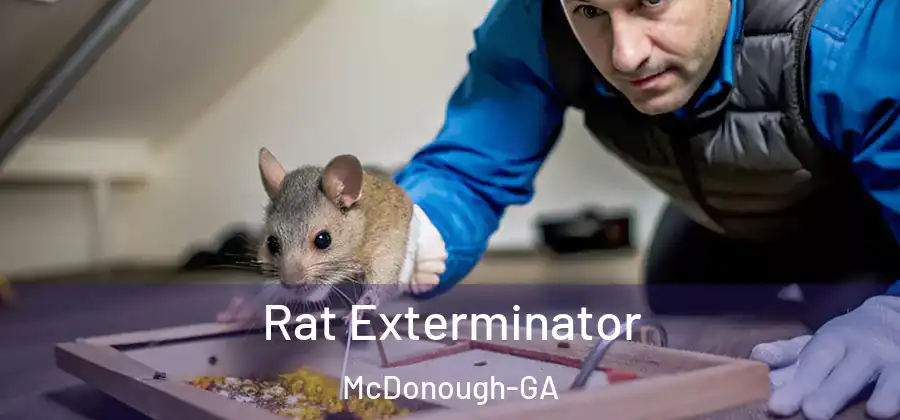 Rat Exterminator McDonough-GA